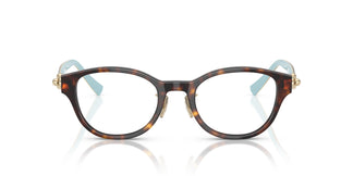 Tiffany TF2273D  8015 48