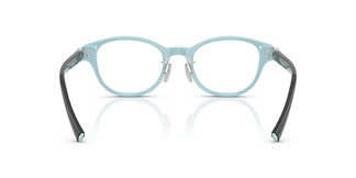 Tiffany TF2273D  8055 48