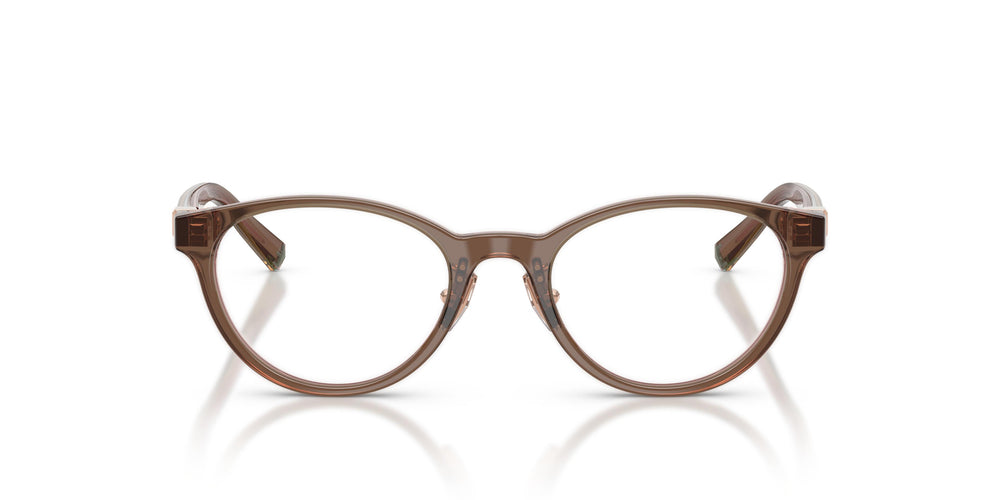 Tiffany TF2306D 8255 49
