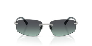 Tiffany TF3114 60012G 59