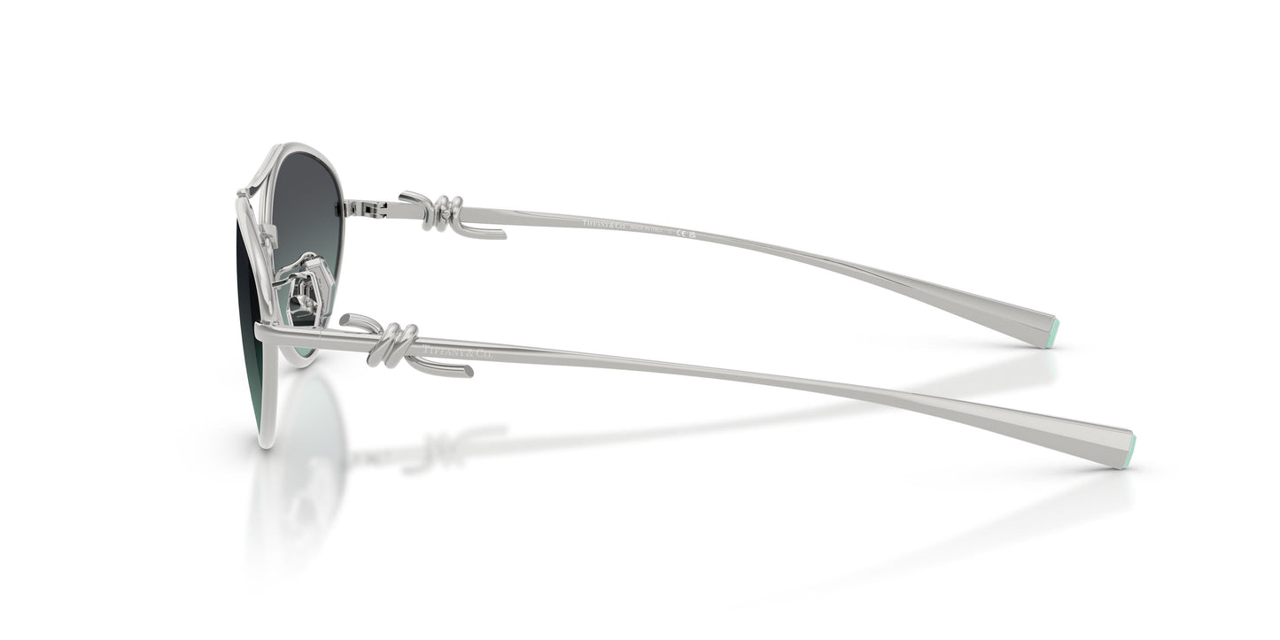 Tiffany TF3117 60012G 58