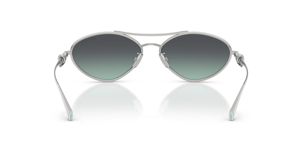 Tiffany TF3117 60012G 58