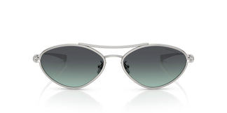 Tiffany TF3117 60012G 58