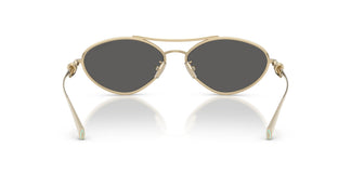 Tiffany TF3117 6021S4 58