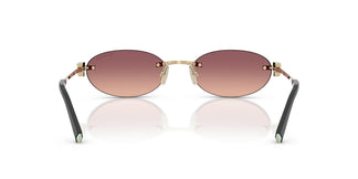 Tiffany TF3119D 62408D 56
