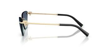 Tiffany TF3120 60219S 61