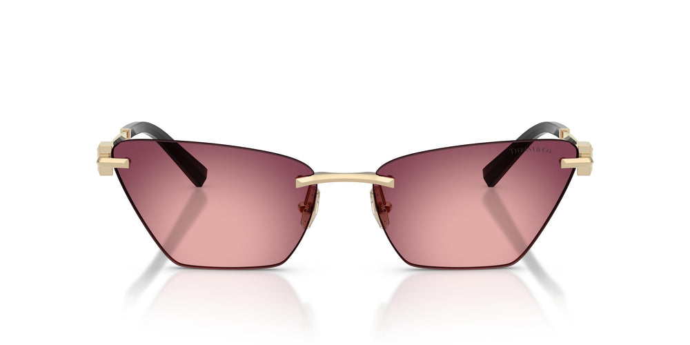 Tiffany TF3120 62428H 61