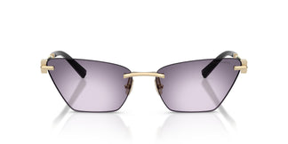 Tiffany TF3120 62438H 61
