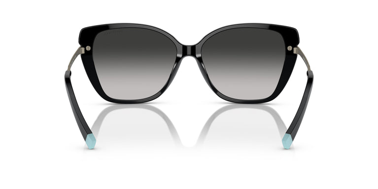 Tiffany TF4190  80013C 57