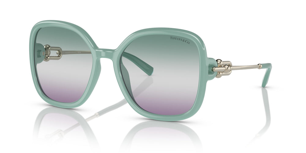 Tiffany TF4202U  8379EL 57