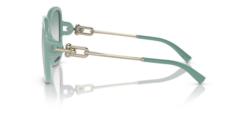 Tiffany TF4202U  8379EL 57