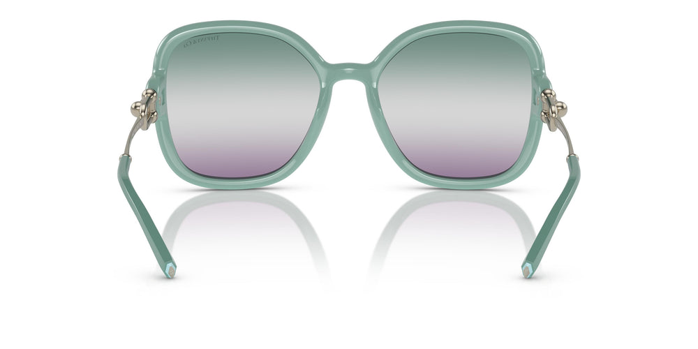 Tiffany TF4202U  8379EL 57