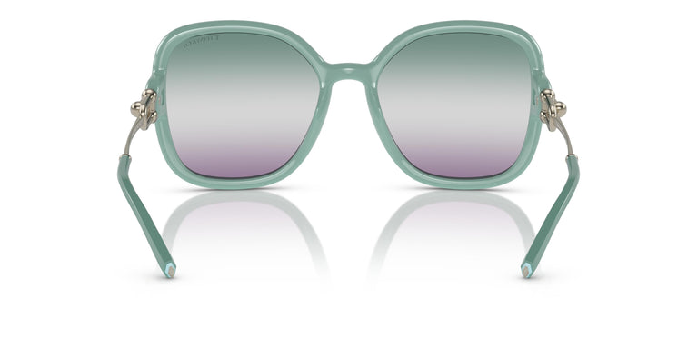 Tiffany TF4202U  8379EL 57
