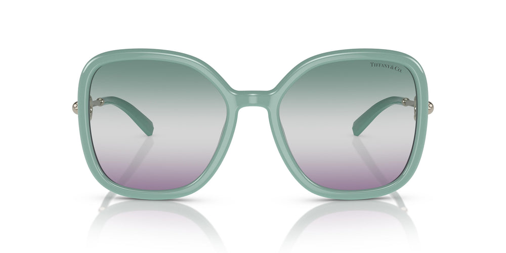 Tiffany TF4202U  8379EL 57