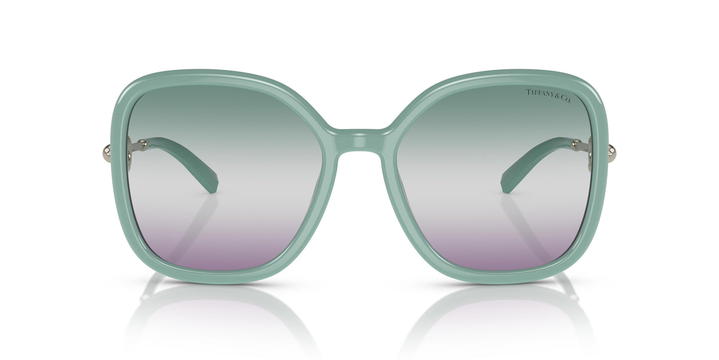Tiffany TF4202U  8379EL 57