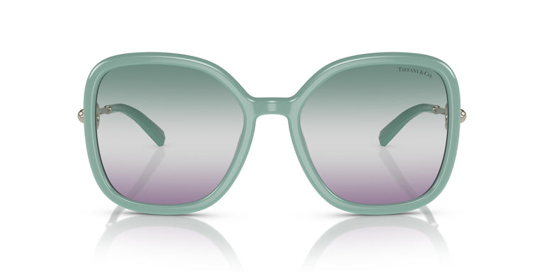 Tiffany TF4202U  8379EL 57