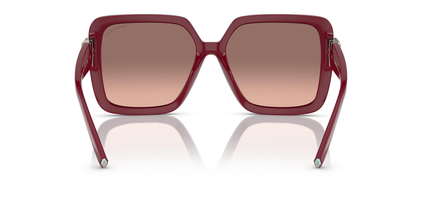 Tiffany TF4206U  836613 58