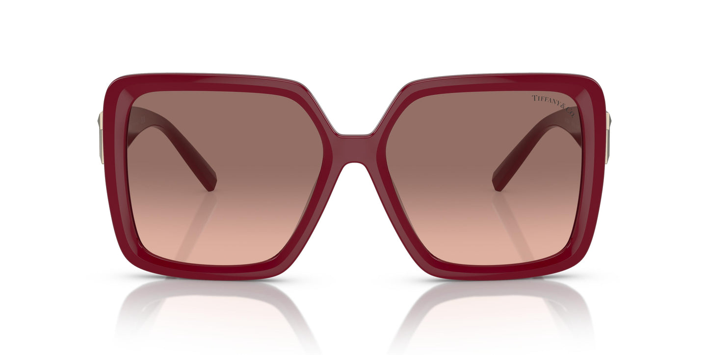 Tiffany TF4206U  836613 58