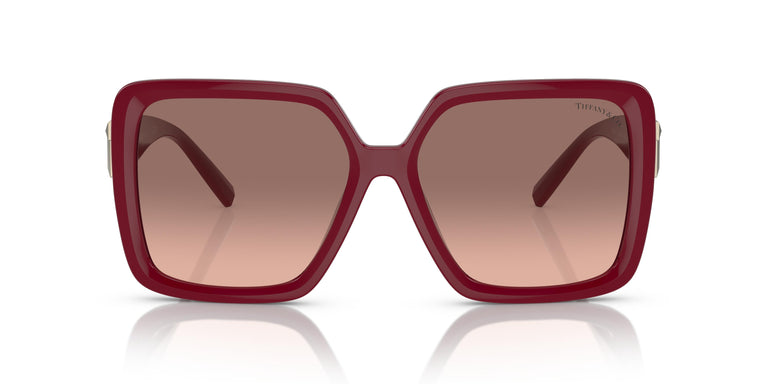 Tiffany TF4206U  836613 58