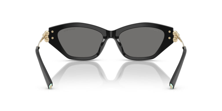 Tiffany TF4231U  800181 53