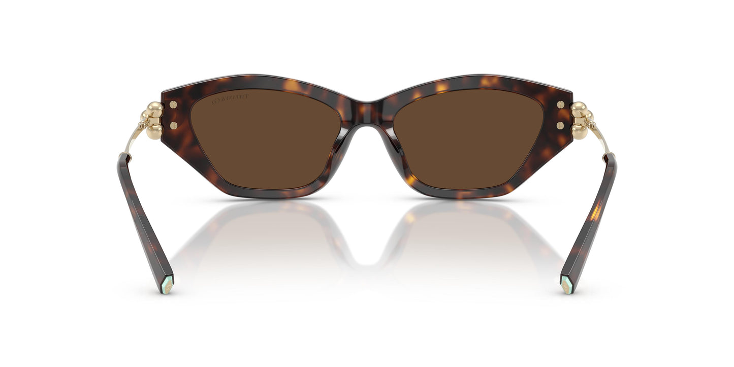 Tiffany TF4231U  80153G 53