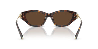 Tiffany TF4231U  80153G 53