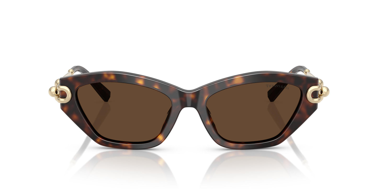 Tiffany TF4231U  80153G 53