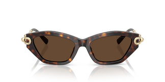 Tiffany TF4231U  80153G 53