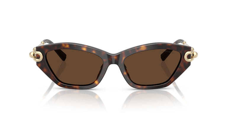 Tiffany TF4231U  80153G 53