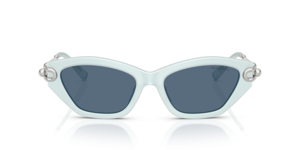 Tiffany TF4231U  843680 53