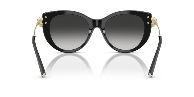 Tiffany TF4232  80013C 53