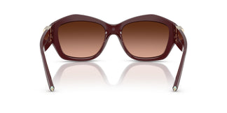 Tiffany TF4233U  83895M 54