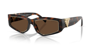 Tiffany TF4234U  80153G 55