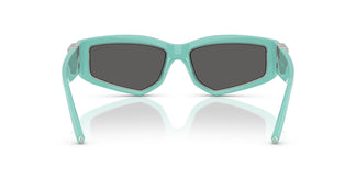 Tiffany TF4234U  8388S4 55