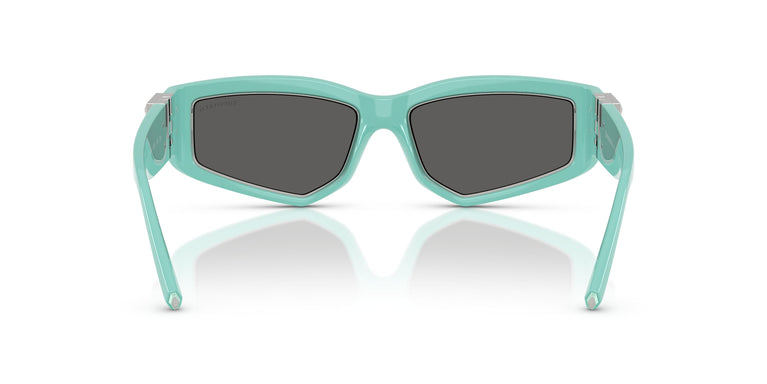 Tiffany TF4234U  8388S4 55