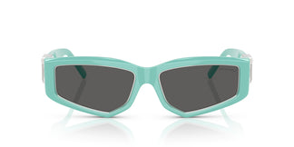 Tiffany TF4234U  8388S4 55