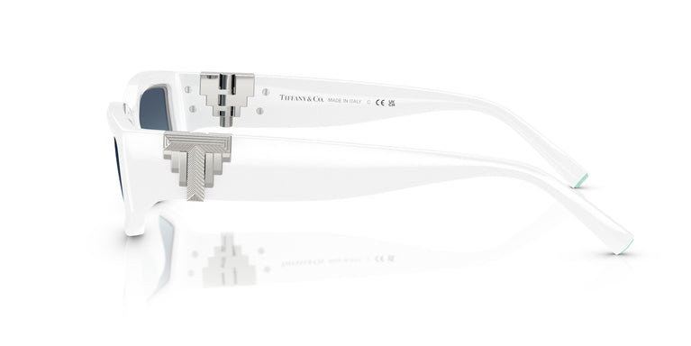 Tiffany TF4234U  83929S 55