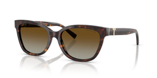 Tiffany TF4237B  8015T5 55