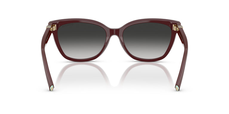 Tiffany TF4237B  83893C 55