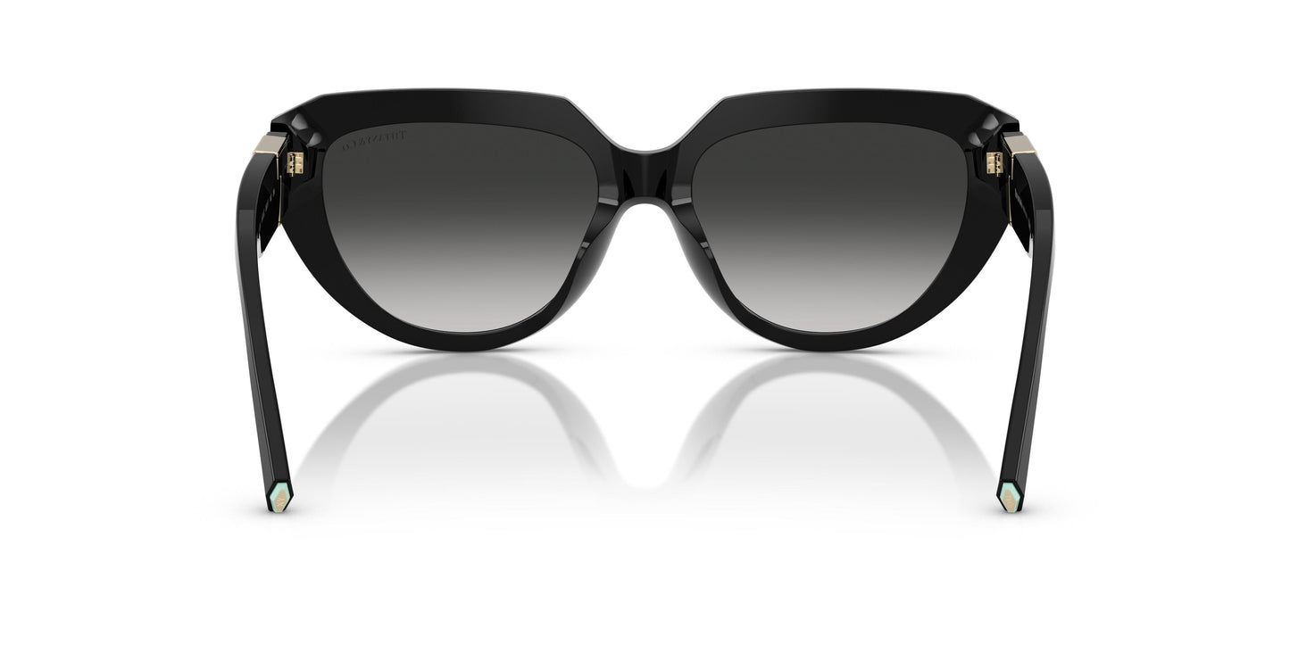 Tiffany TF4238U  80013C 55
