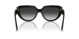 Tiffany TF4238U  80013C 55