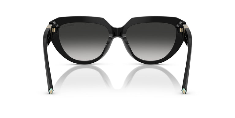 Tiffany TF4238U  80013C 55