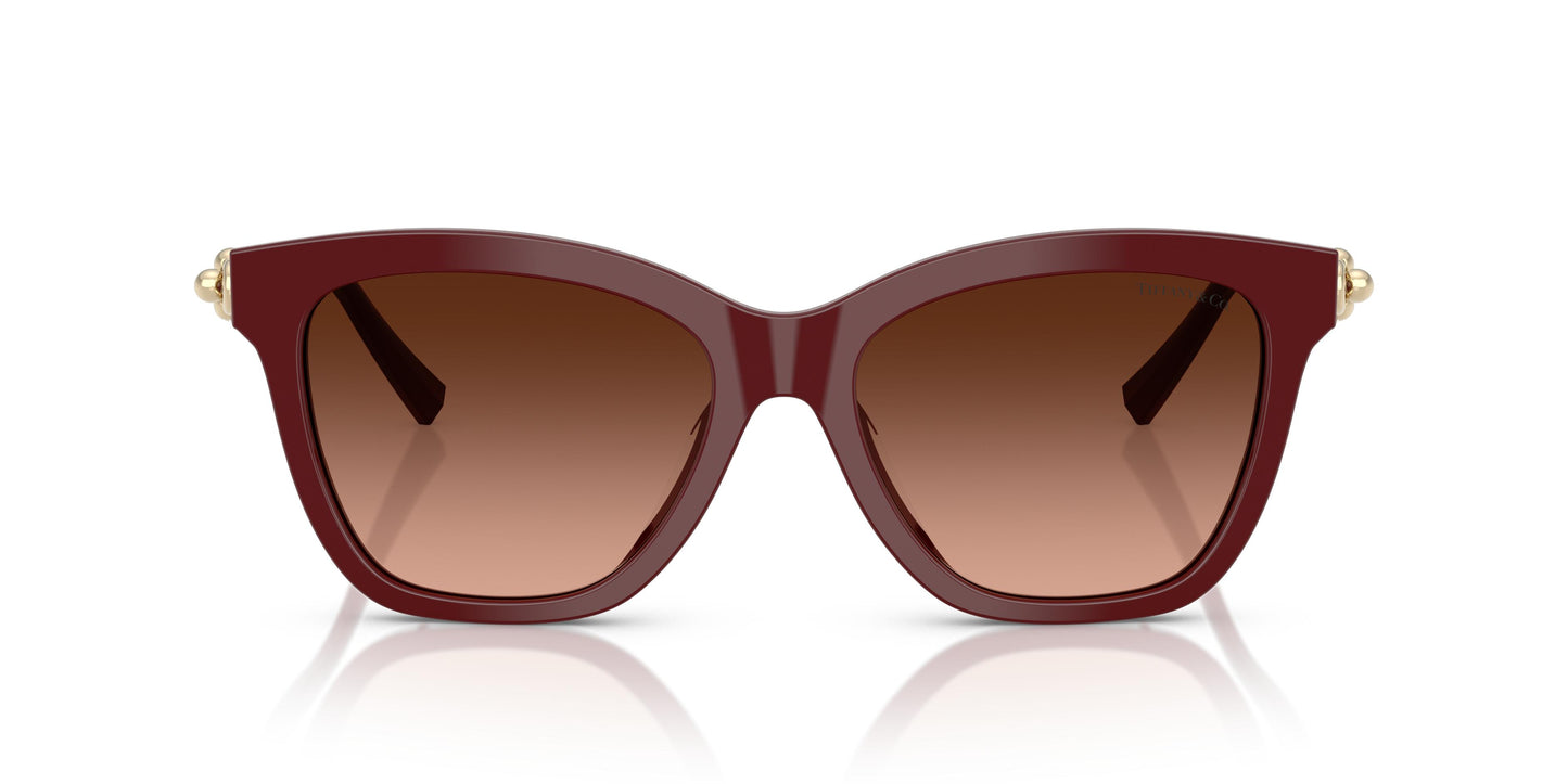Tiffany TF4241D  84395M 54