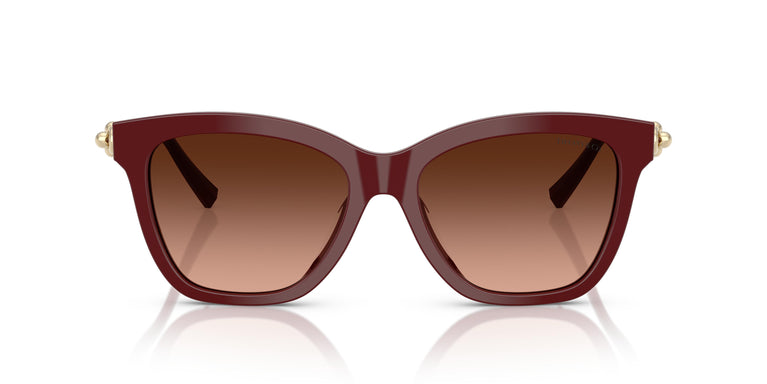 Tiffany TF4241D  84395M 54