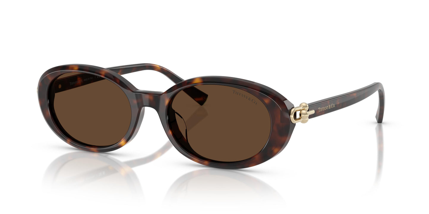 Tiffany TF4242D  80153G 54