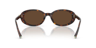 Tiffany TF4242D  80153G 54