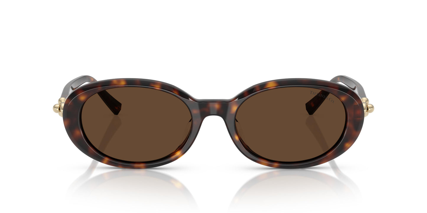 Tiffany TF4242D  80153G 54