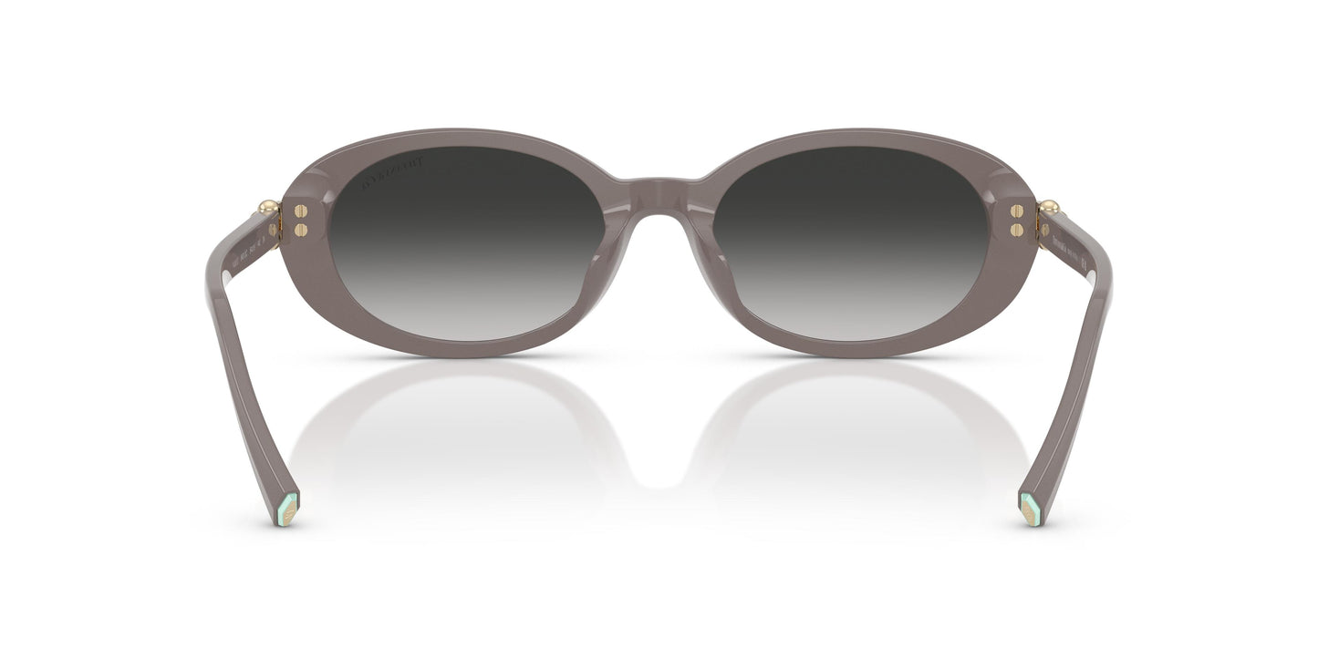 Tiffany TF4242D  84013C 54