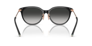 Tiffany TF4243D  80013C 55