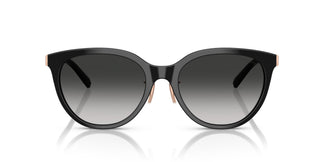 Tiffany TF4243D  80013C 55